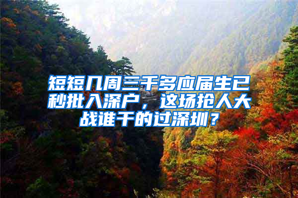 短短几周三千多应届生已秒批入深户，这场抢人大战谁干的过深圳？