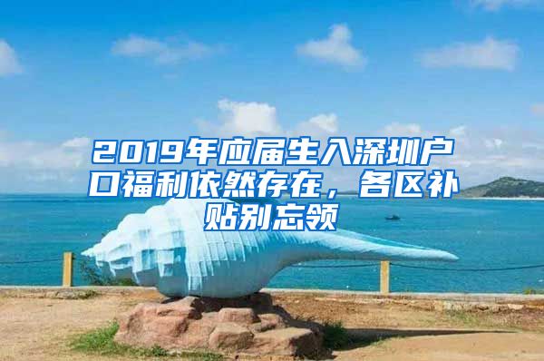 2019年应届生入深圳户口福利依然存在，各区补贴别忘领