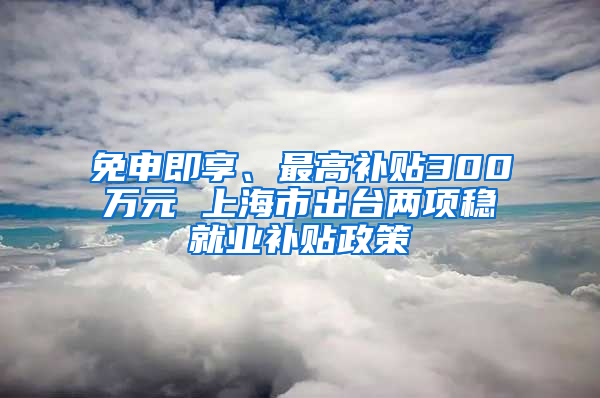 免申即享、最高补贴300万元 上海市出台两项稳就业补贴政策