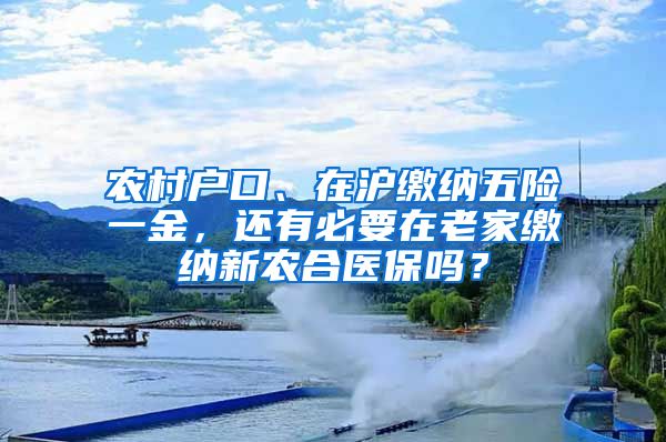 农村户口、在沪缴纳五险一金，还有必要在老家缴纳新农合医保吗？