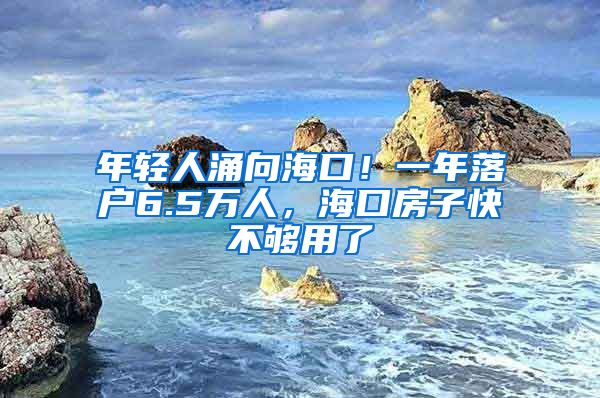 年轻人涌向海口！一年落户6.5万人，海口房子快不够用了