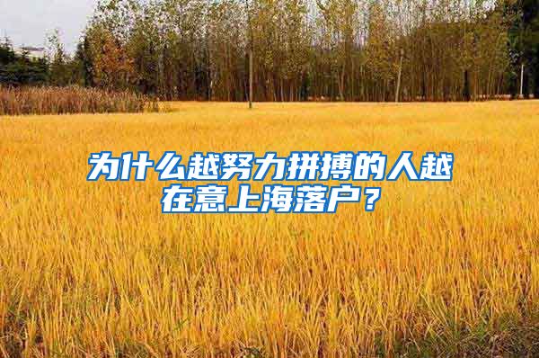 为什么越努力拼搏的人越在意上海落户？