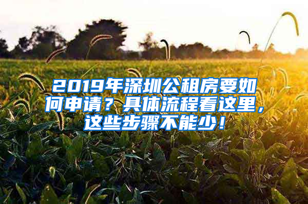 2019年深圳公租房要如何申请？具体流程看这里，这些步骤不能少！