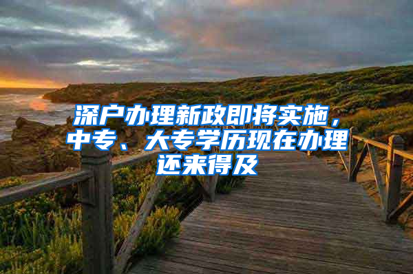 深户办理新政即将实施，中专、大专学历现在办理还来得及