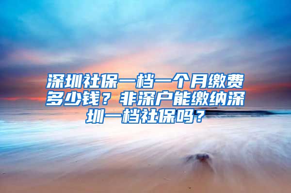 深圳社保一档一个月缴费多少钱？非深户能缴纳深圳一档社保吗？