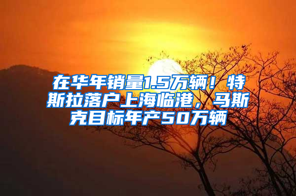 在华年销量1.5万辆！特斯拉落户上海临港，马斯克目标年产50万辆