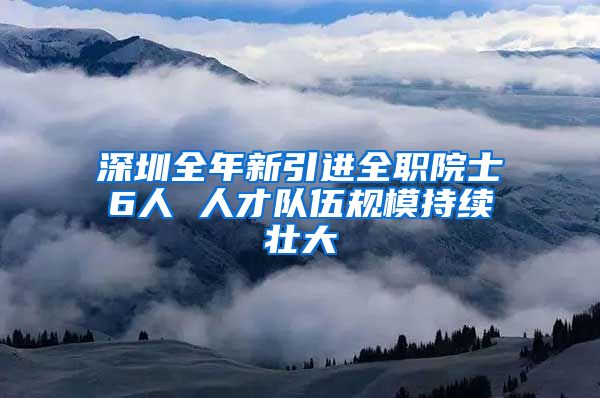 深圳全年新引进全职院士6人 人才队伍规模持续壮大