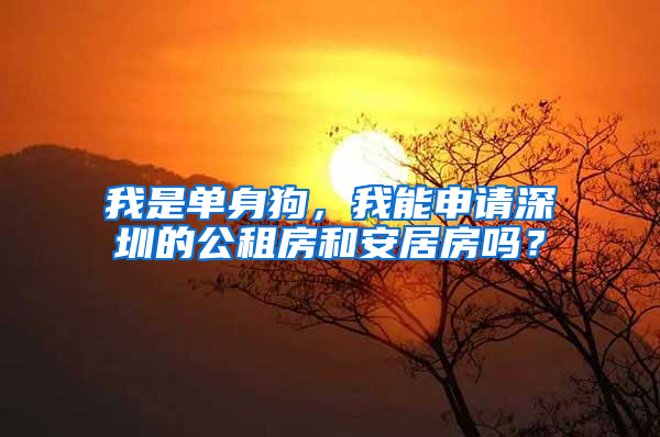 我是单身狗，我能申请深圳的公租房和安居房吗？