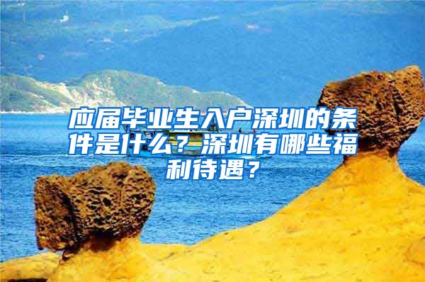 应届毕业生入户深圳的条件是什么？深圳有哪些福利待遇？