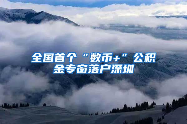 全国首个“数币+”公积金专窗落户深圳