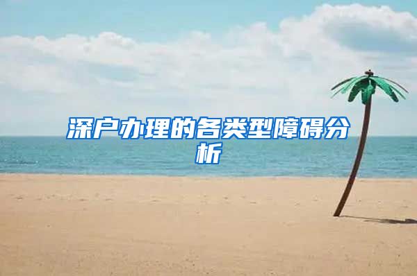 深户办理的各类型障碍分析