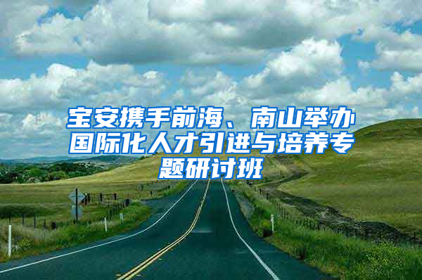 宝安携手前海、南山举办国际化人才引进与培养专题研讨班