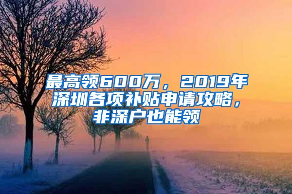 最高领600万，2019年深圳各项补贴申请攻略，非深户也能领