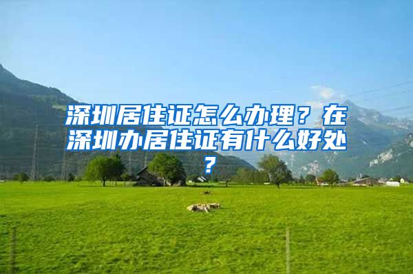 深圳居住证怎么办理？在深圳办居住证有什么好处？