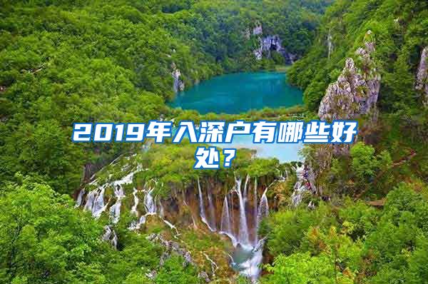 2019年入深户有哪些好处？