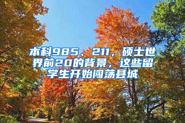 本科985、211，硕士世界前20的背景，这些留学生开始闯荡县城