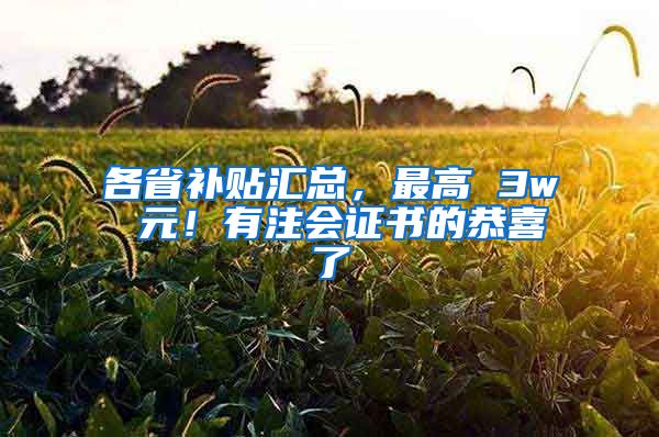 各省补贴汇总，最高 3w 元！有注会证书的恭喜了