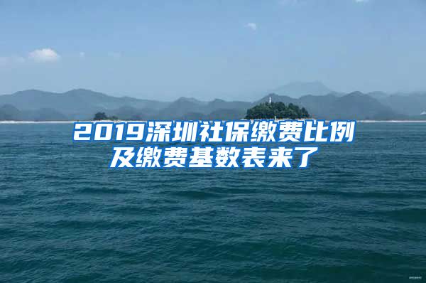 2019深圳社保缴费比例及缴费基数表来了