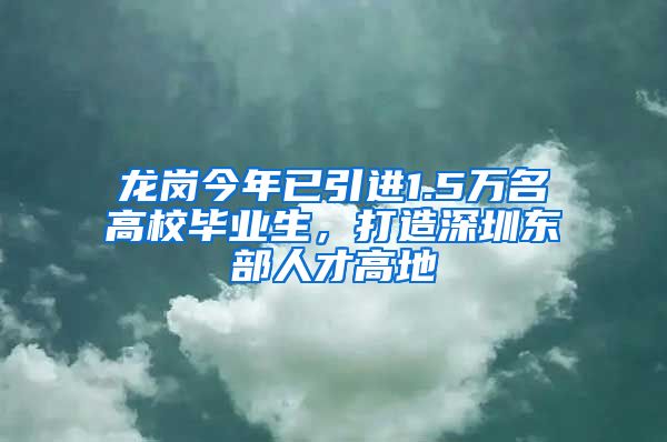 龙岗今年已引进1.5万名高校毕业生，打造深圳东部人才高地