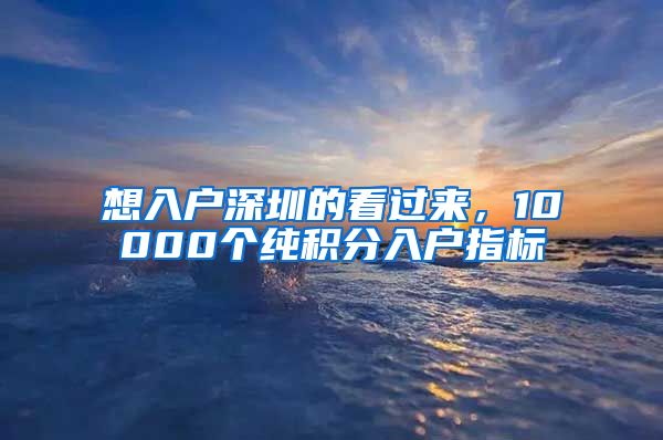 想入户深圳的看过来，10000个纯积分入户指标