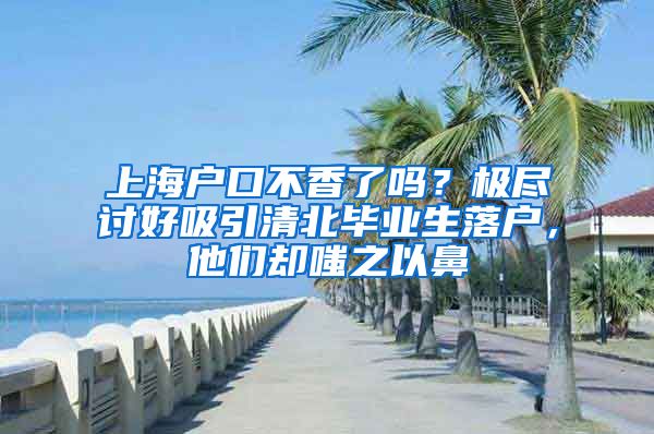 上海户口不香了吗？极尽讨好吸引清北毕业生落户，他们却嗤之以鼻