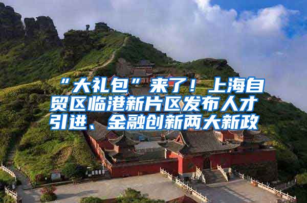 “大礼包”来了！上海自贸区临港新片区发布人才引进、金融创新两大新政