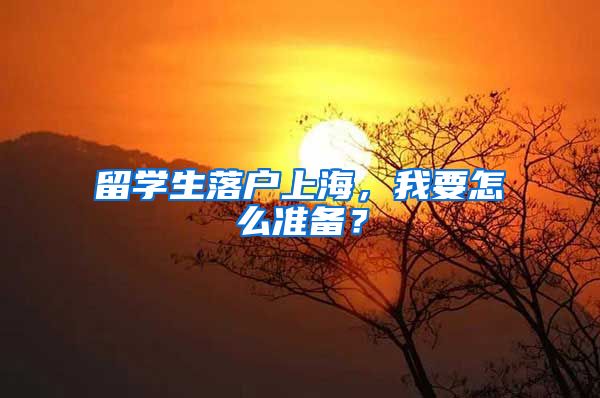 留学生落户上海，我要怎么准备？