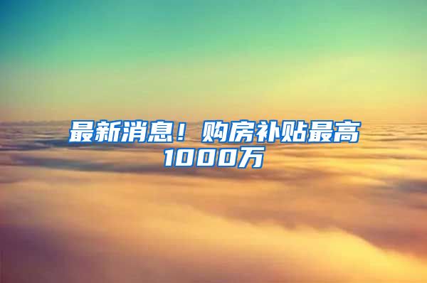 最新消息！购房补贴最高1000万