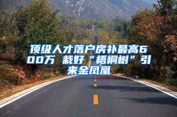 顶级人才落户房补最高600万 栽好“梧桐树”引来金凤凰