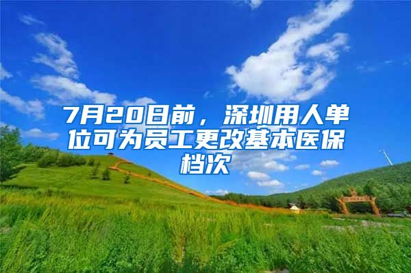 7月20日前，深圳用人单位可为员工更改基本医保档次