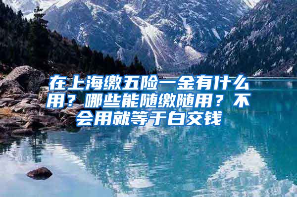 在上海缴五险一金有什么用？哪些能随缴随用？不会用就等于白交钱