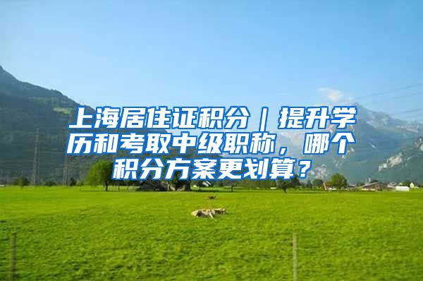 上海居住证积分｜提升学历和考取中级职称，哪个积分方案更划算？