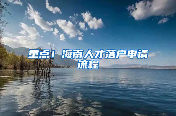 重点！海南人才落户申请流程