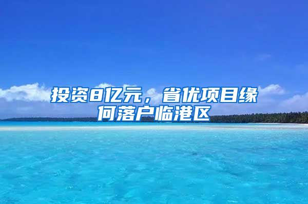 投资8亿元，省优项目缘何落户临港区