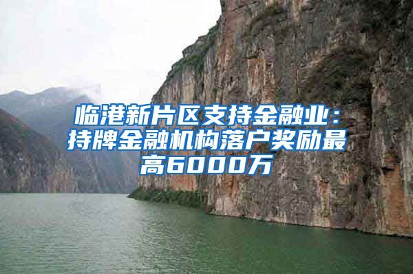 临港新片区支持金融业：持牌金融机构落户奖励最高6000万