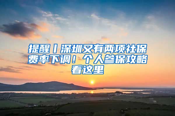 提醒丨深圳又有两项社保费率下调！个人参保攻略看这里