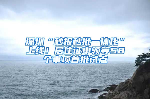 深圳“秒报秒批一体化”上线！居住证申领等58个事项首批试点