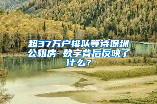 超37万户排队等待深圳公租房 数字背后反映了什么？