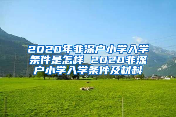 2020年非深户小学入学条件是怎样 2020非深户小学入学条件及材料