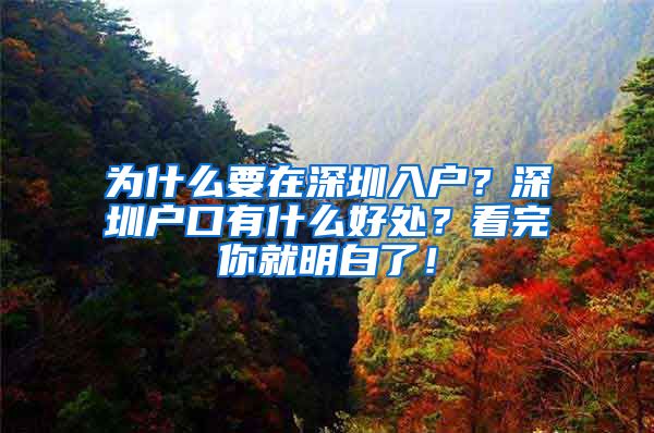 为什么要在深圳入户？深圳户口有什么好处？看完你就明白了！