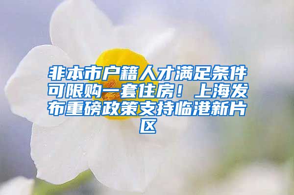 非本市户籍人才满足条件可限购一套住房！上海发布重磅政策支持临港新片区