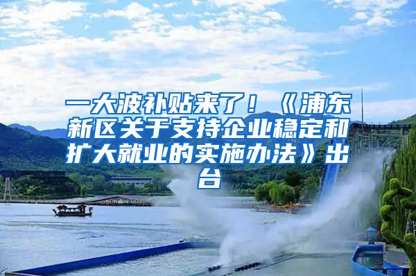 一大波补贴来了！《浦东新区关于支持企业稳定和扩大就业的实施办法》出台