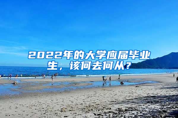 2022年的大学应届毕业生，该何去何从？