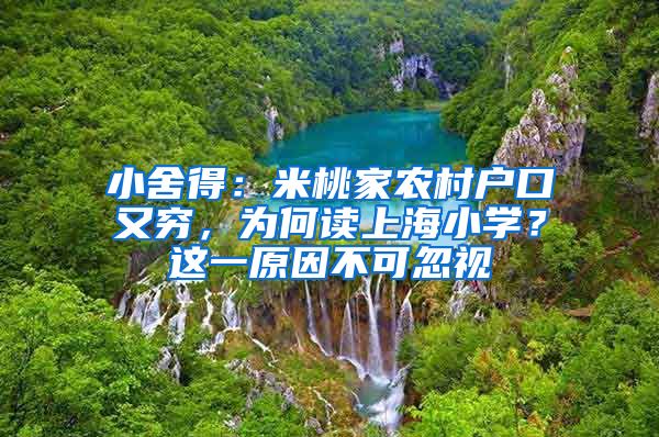 小舍得：米桃家农村户口又穷，为何读上海小学？这一原因不可忽视