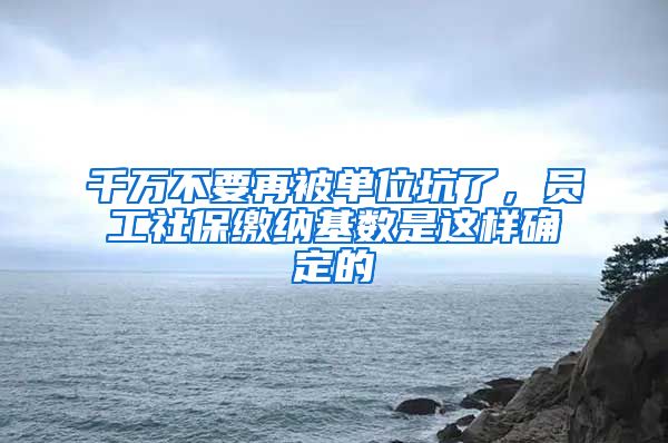 千万不要再被单位坑了，员工社保缴纳基数是这样确定的