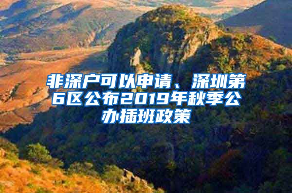 非深户可以申请、深圳第6区公布2019年秋季公办插班政策