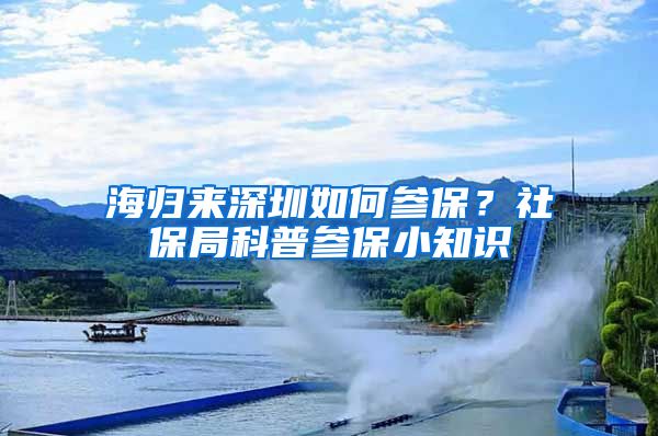 海归来深圳如何参保？社保局科普参保小知识