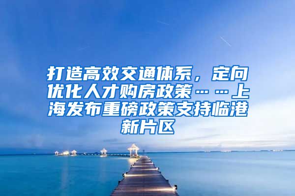 打造高效交通体系，定向优化人才购房政策……上海发布重磅政策支持临港新片区