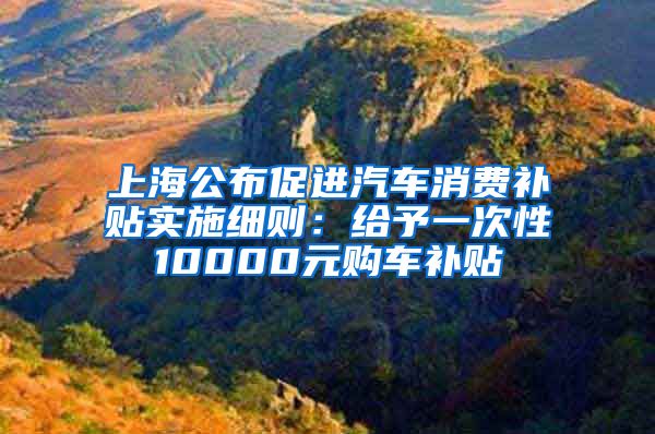 上海公布促进汽车消费补贴实施细则：给予一次性10000元购车补贴