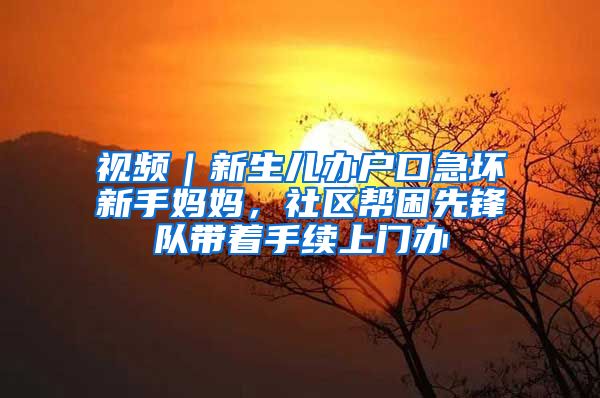 视频｜新生儿办户口急坏新手妈妈，社区帮困先锋队带着手续上门办